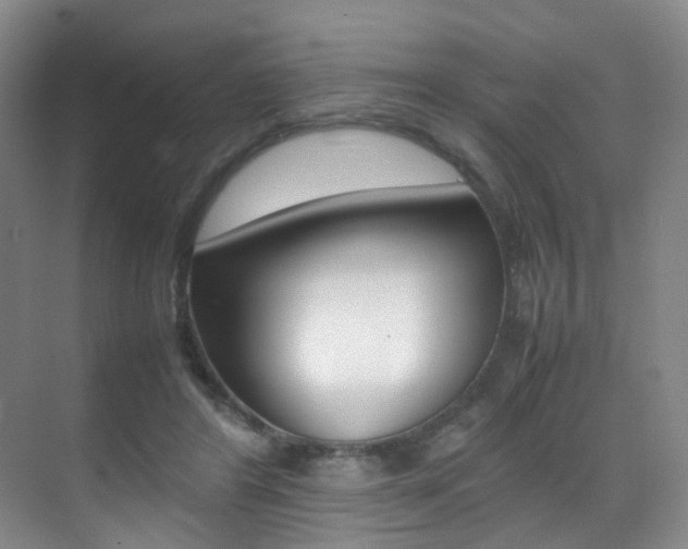 X0000070250404200606021004