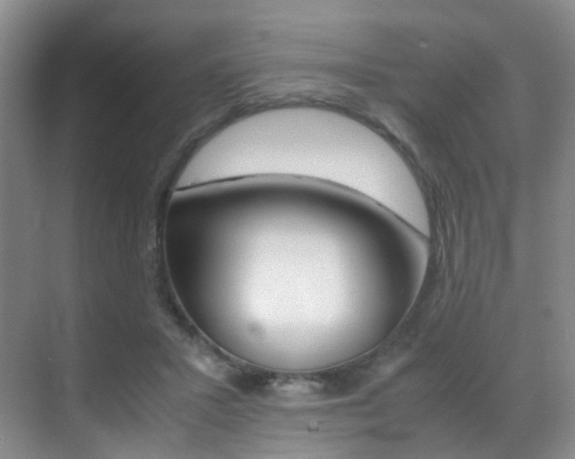 X0000070250407200606021004