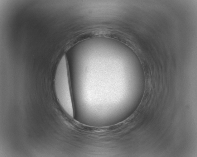 X0000070250411200606021004