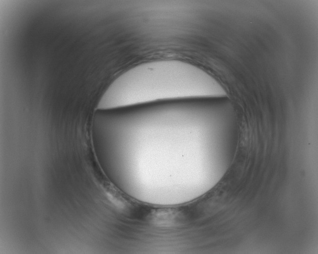 X0000070250414200606021004