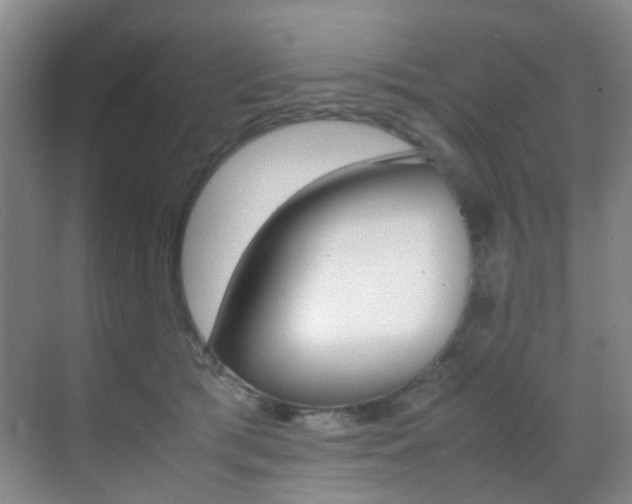 X0000070250417200606021004