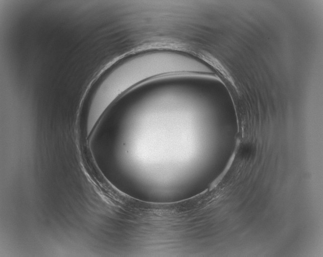 X0000070250436200606021002