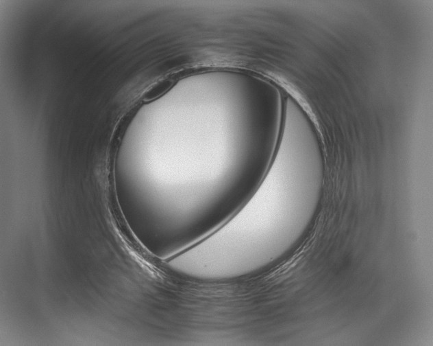 X0000070250437200606021003