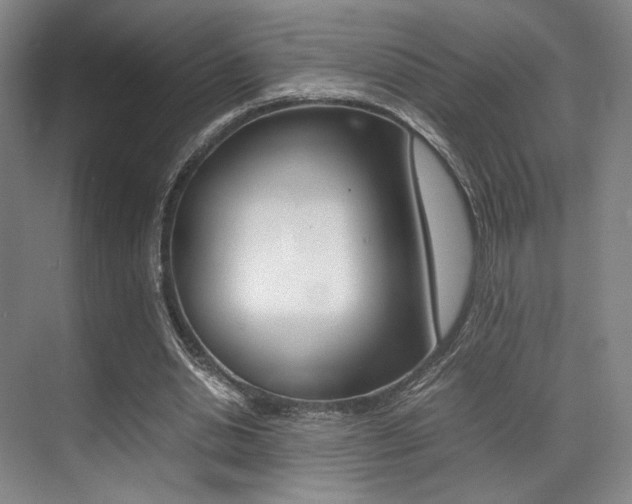 X0000070250438200606021003