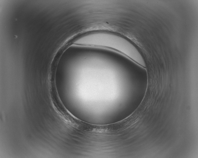 X0000070250440200606021003