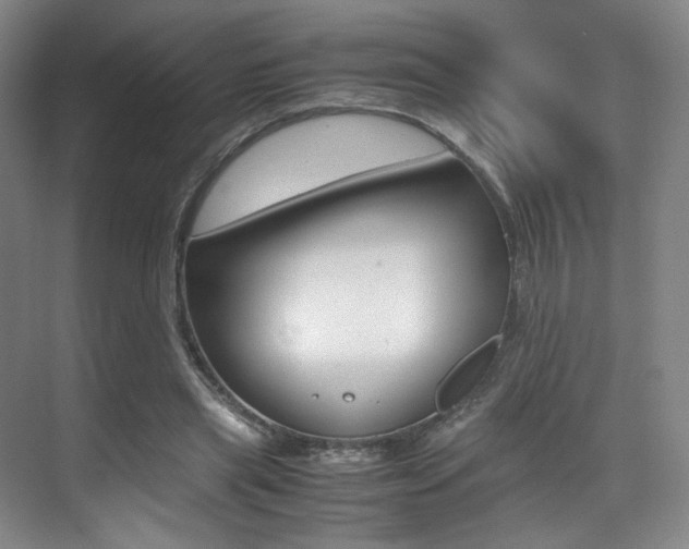 X0000070250445200606021003