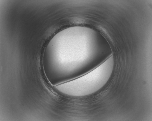 X0000070250447200606021003