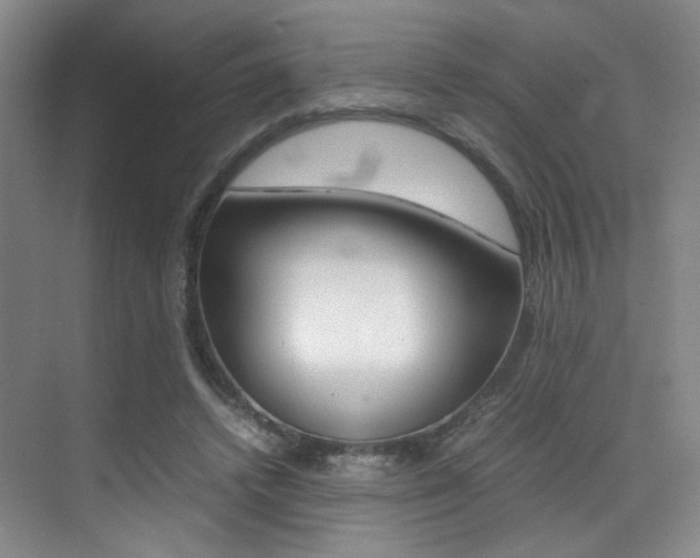 X0000070250448200606021003