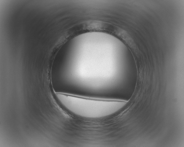 X0000070250449200606021003