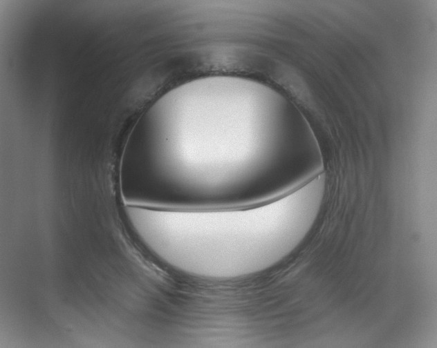 X0000070250450200606021003
