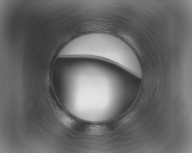 X0000070250453200606021003
