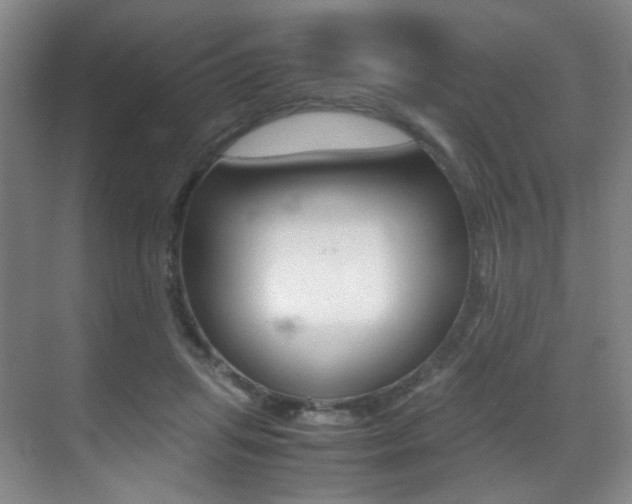 X0000070250455200606021003