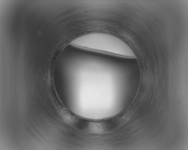X0000070250457200606021003