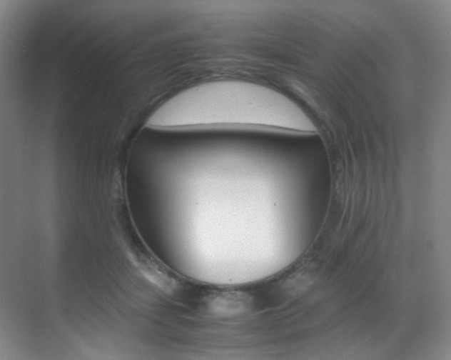X0000070250459200606021003