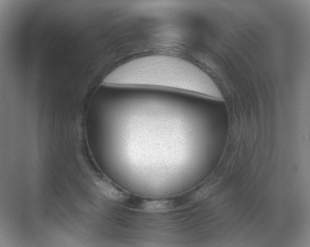 X0000070250461200606021003