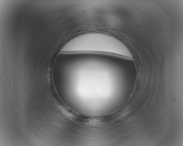 X0000070250462200606021003