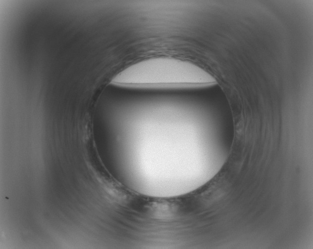 X0000070250464200606021003