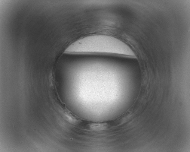 X0000070250465200606021003