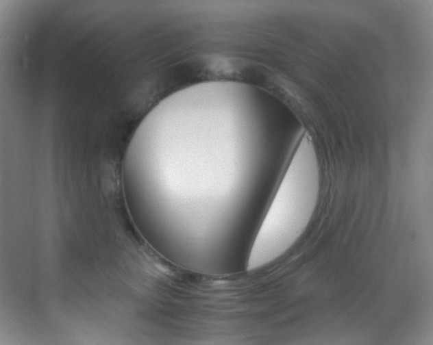 X0000070250467200606021003