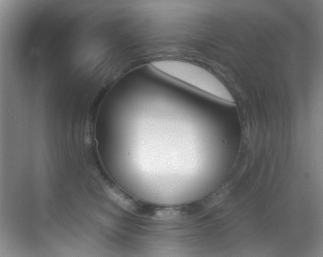 X0000070250470200606021003