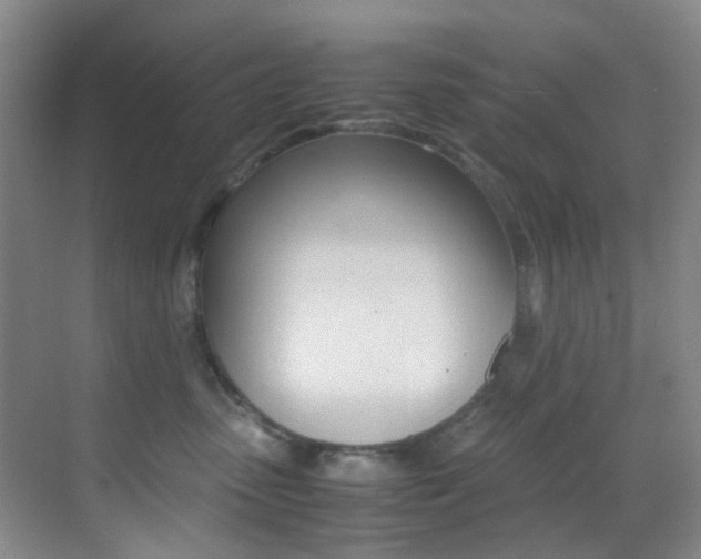 X0000070250475200606021003