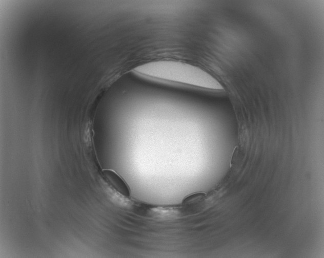 X0000070250477200606021003