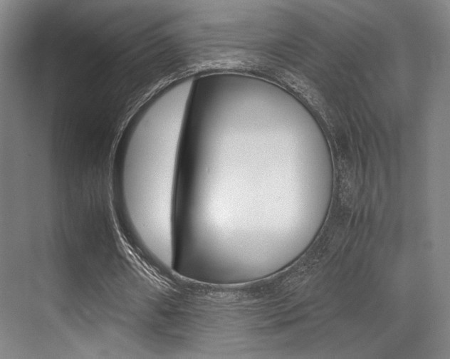 X0000070250482200606021002
