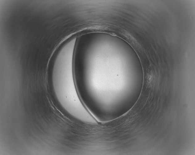X0000070250484200606021002