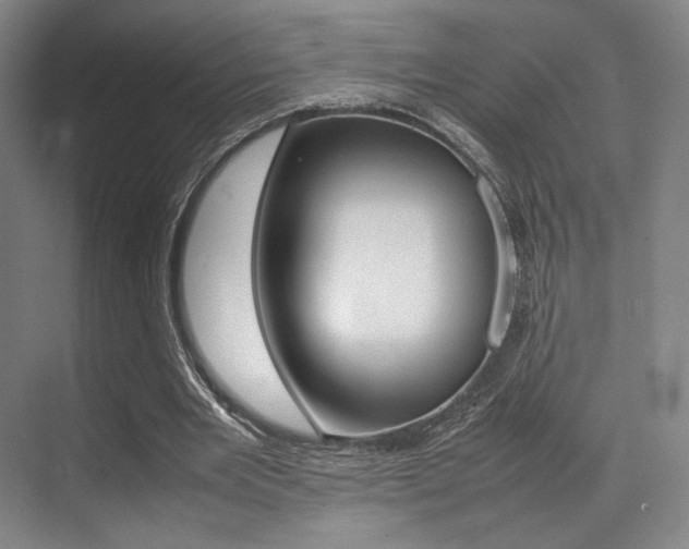 X0000070250485200606021002