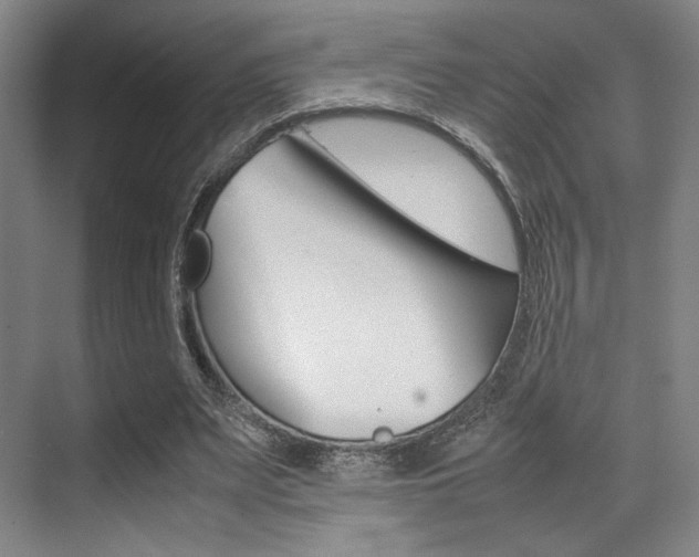 X0000070250487200606021002