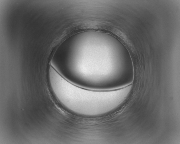 X0000070250489200606021002
