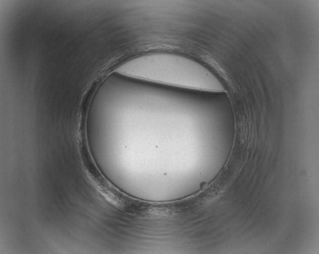 X0000070250490200606021002