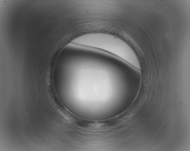 X0000070250497200606021002