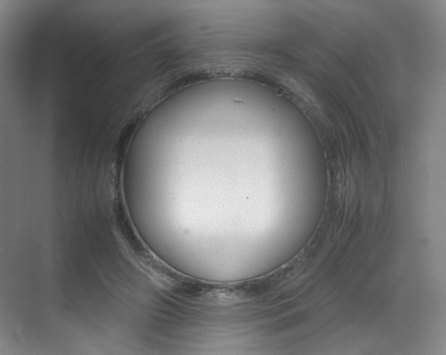 X0000070250498200606021002