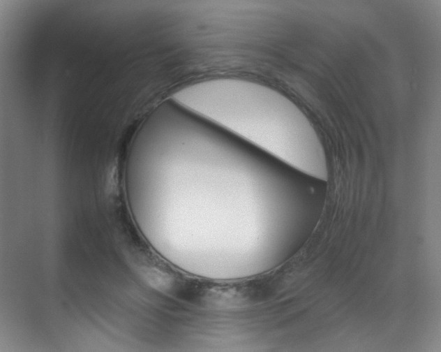 X0000070250502200606021002