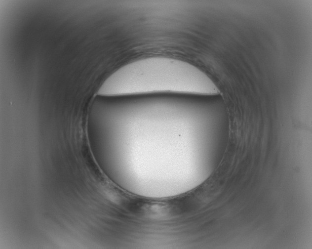 X0000070250506200606021002