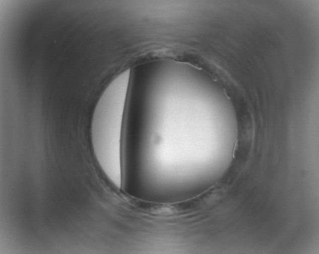 X0000070250513200606021002