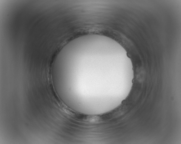 X0000070250514200606021002