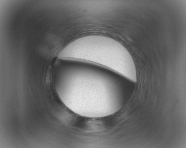 X0000070250515200606021002