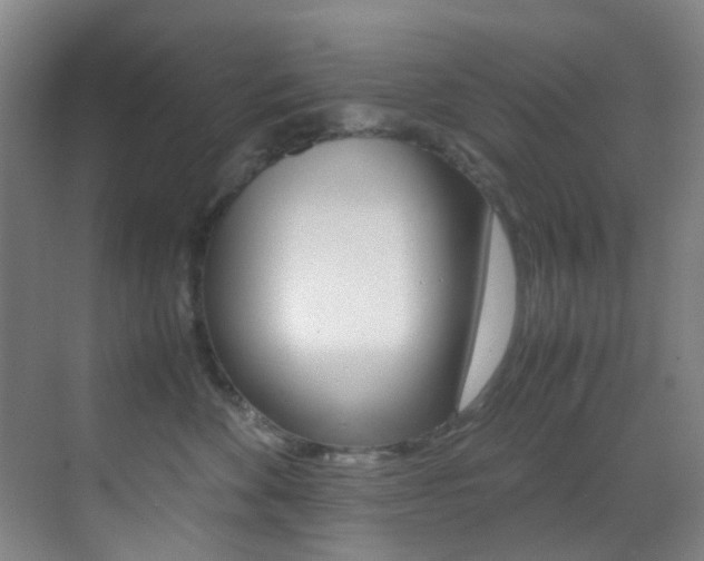 X0000070250524200606021002