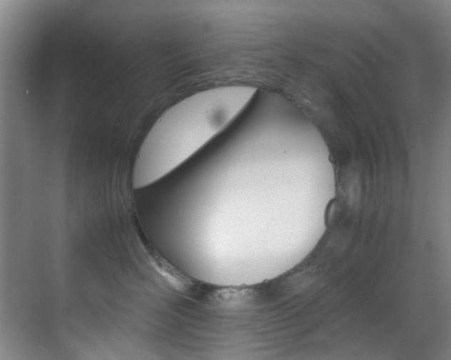 X0000070250526200606021002