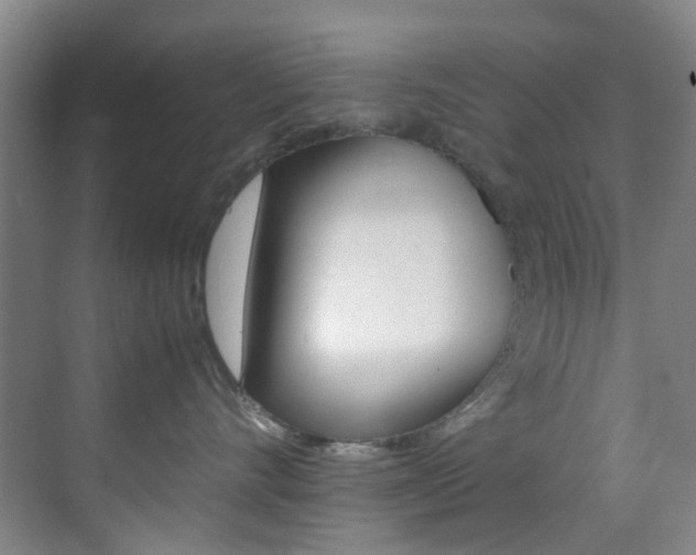 X0000070250528200606021002