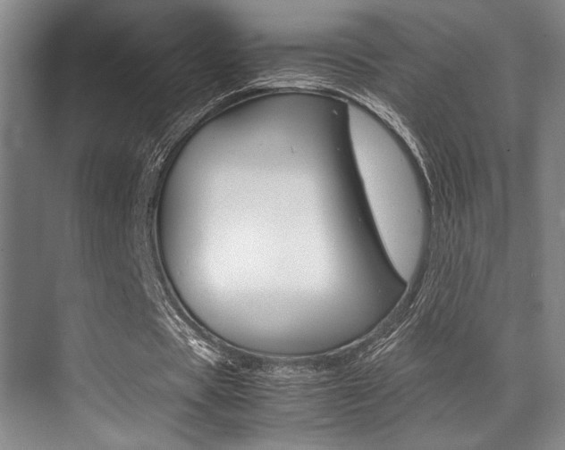 X0000070250529200606021001
