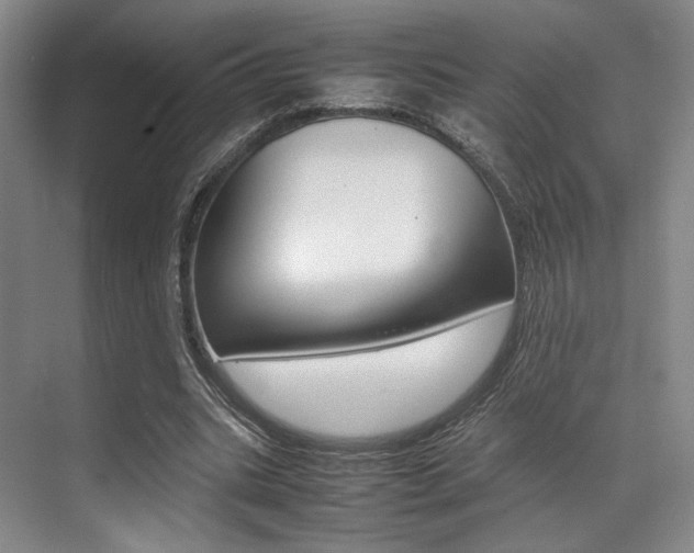X0000070250535200606021001
