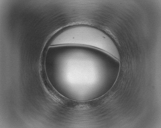X0000070250536200606021001