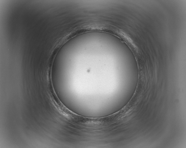 X0000070250537200606021001