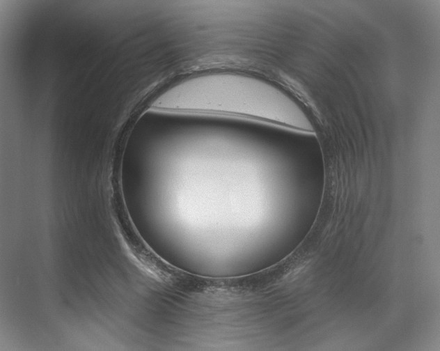 X0000070250538200606021001