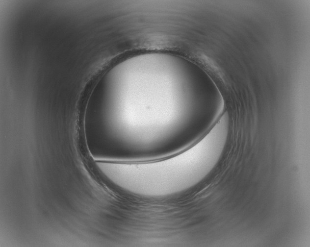 X0000070250540200606021001