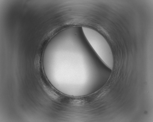 X0000070250542200606021001