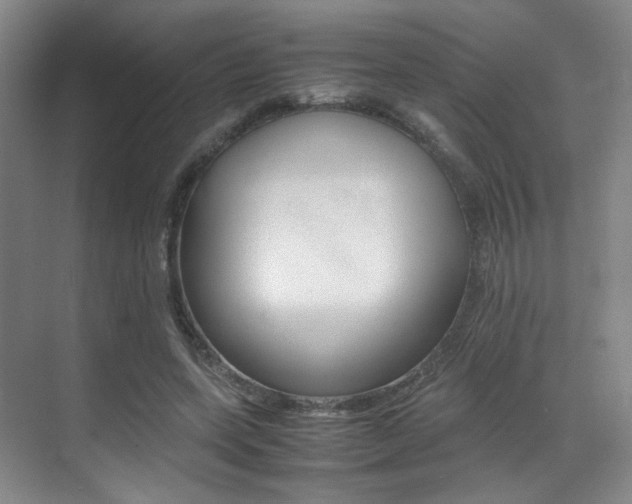 X0000070250543200606021001